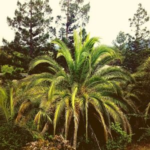 Meet your Posher, Donovan